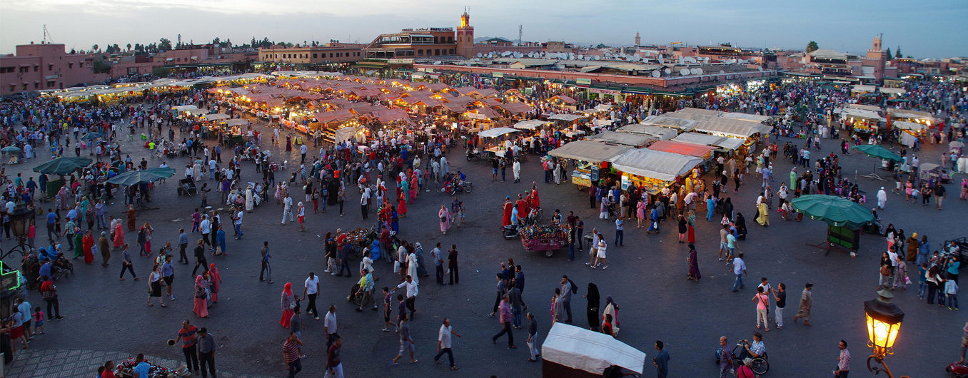 day trips from marrakech