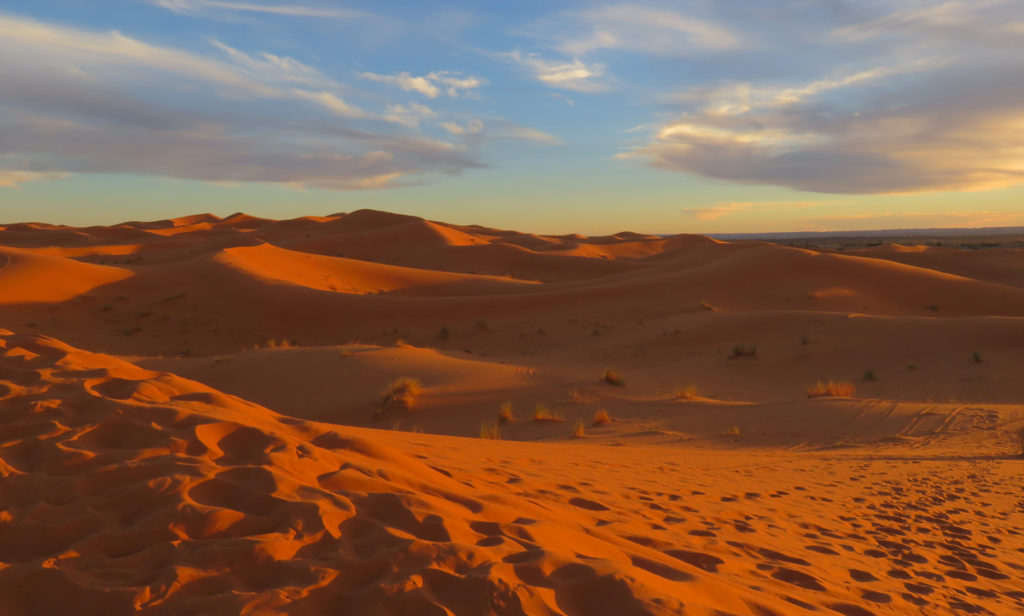 desert activities