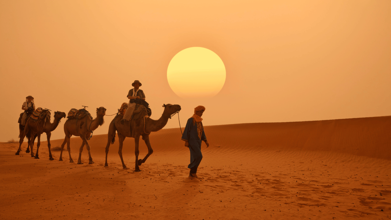 You are currently viewing Best Camel Rides in Morocco: The Best Places and Tips
