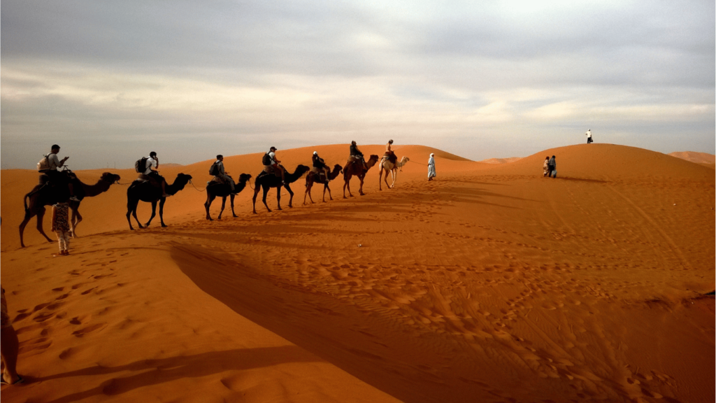 Ride a camel in Casablanca