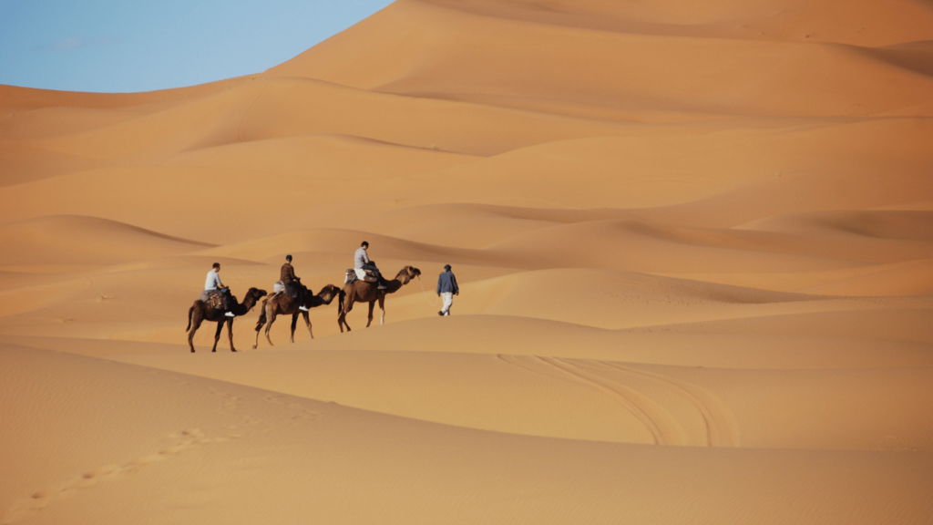 camel trekking places In Morocco