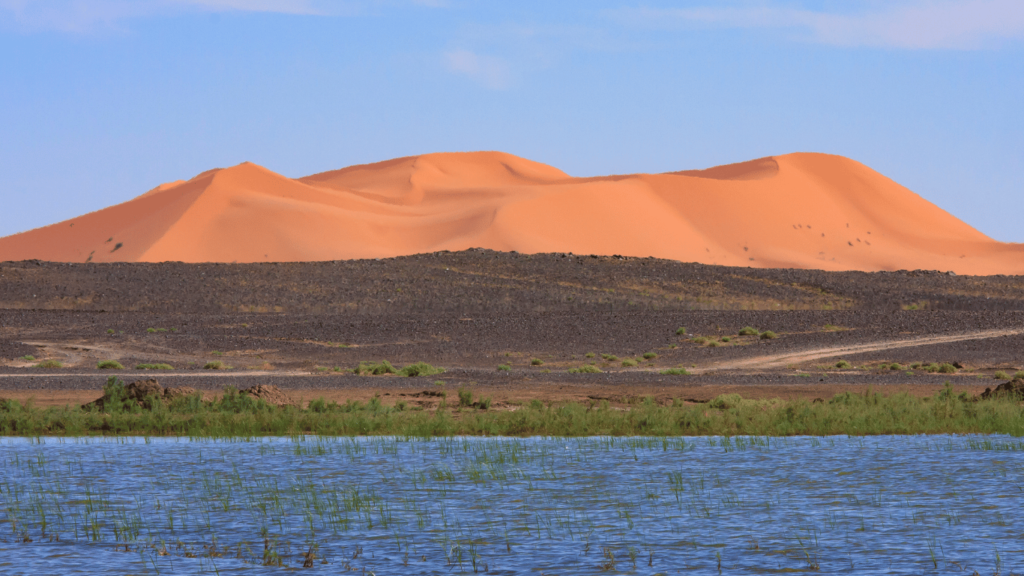 height of the Erg Chebbi desert