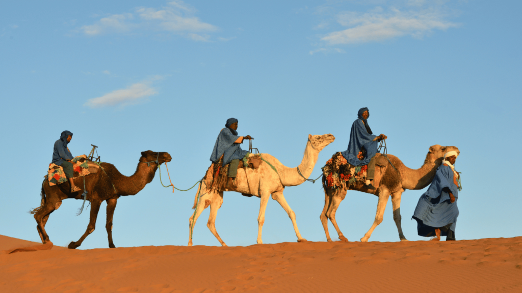 Camel Ride In Morocco