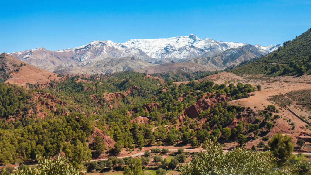 Atlas Mountains 