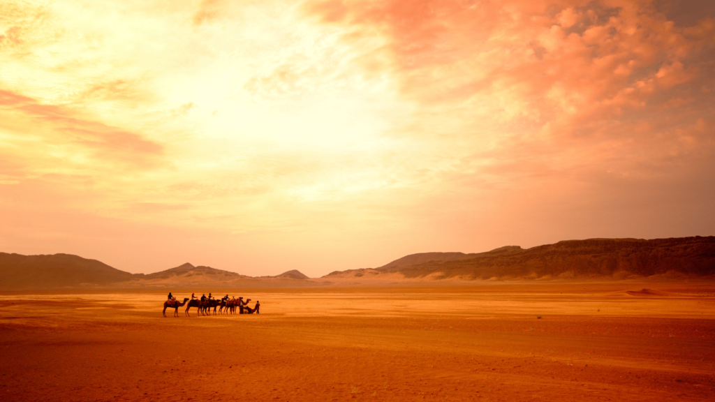Sunset Camel Treks