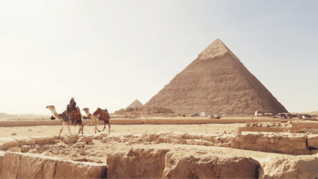 Turisti Cavalcano Cammelli in Egitto
