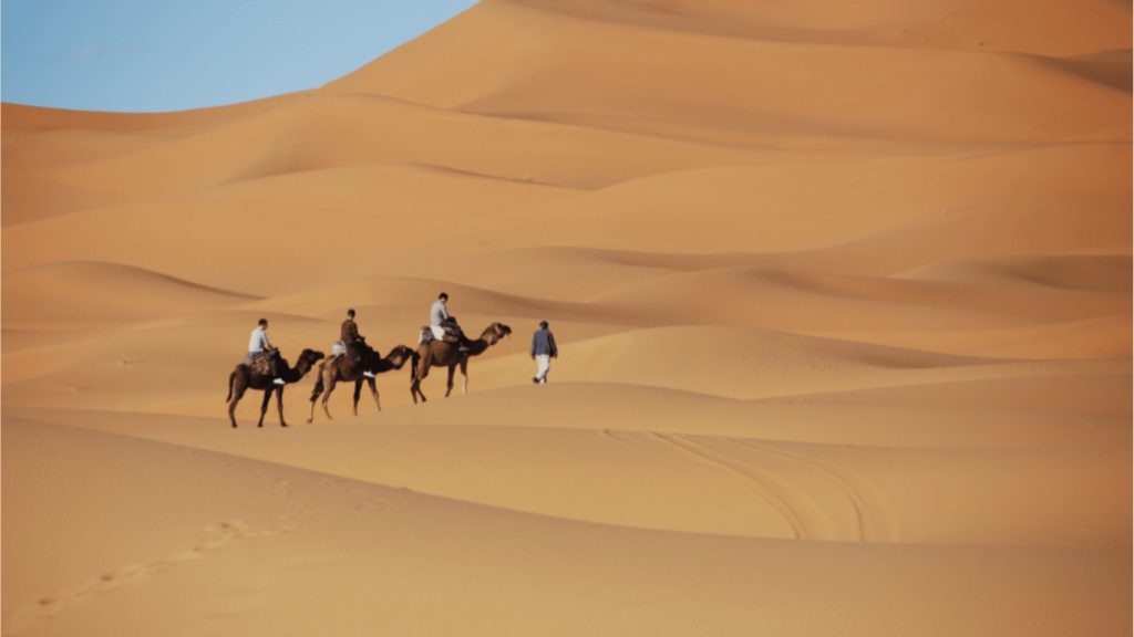  luoghi per il trekking sui cammelli in Marocco